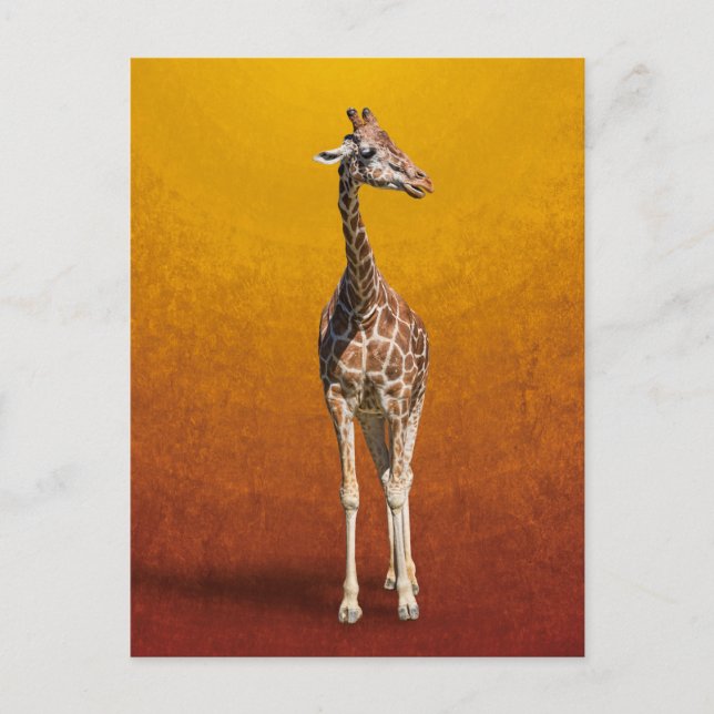 GIRAFFE POSTCARD (Front)