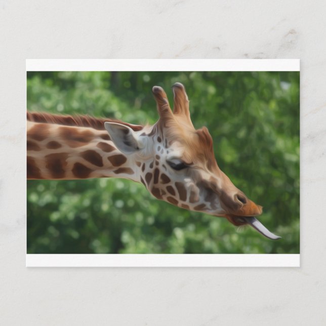 Giraffe Postcard (Front)
