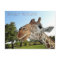 Giraffe Postcard / Hello there!