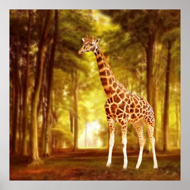 Giraffe Poster (Front)