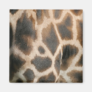Giraffe Print Pattern Magnet
