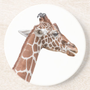 Giraffe profile coaster