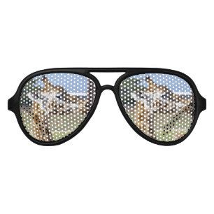 Giraffe Pucker Up Kisses, Aviator Sunglasses