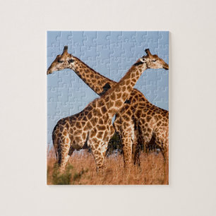 Giraffe Puzzle
