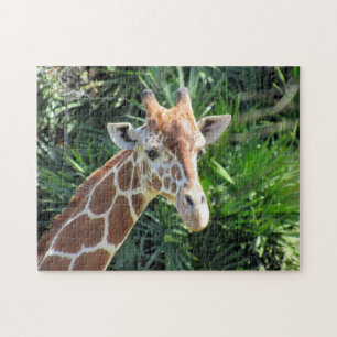 Giraffe Puzzle