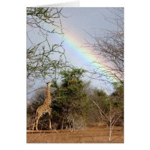 Giraffe & Rainbow Card
