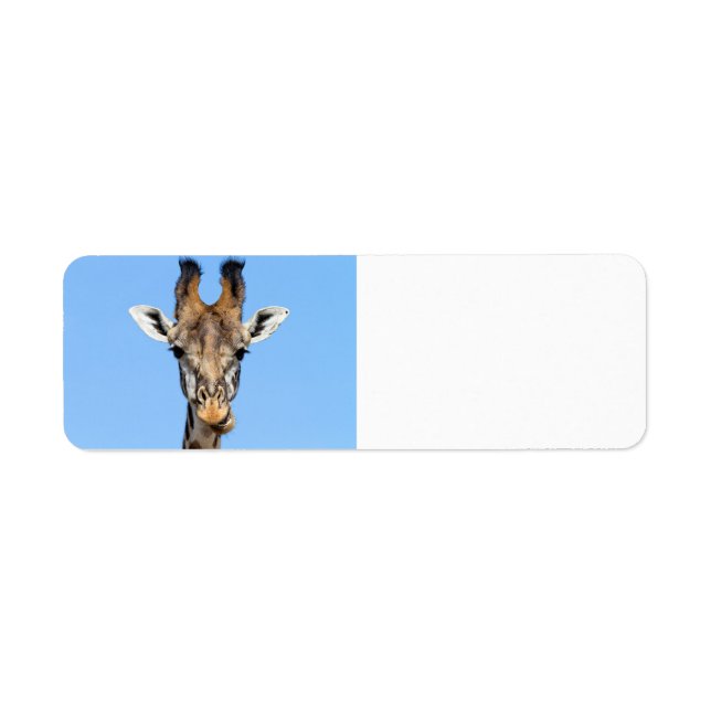 Giraffe Return Address Label (Front)