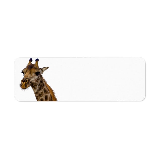 Giraffe Return Address Labels (Front)