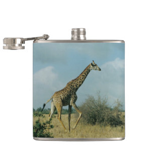 Giraffe Running Hip Flask