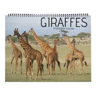 giraffe safari 2026 large calendar