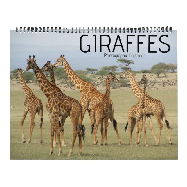 giraffe safari 2027 large calendar (Cover)