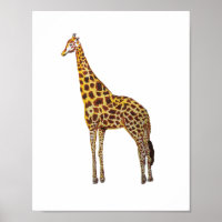 Giraffe Safari Animals Painting