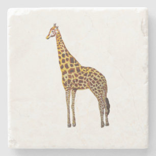 Giraffe Safari Painting Marble Stone Coaster