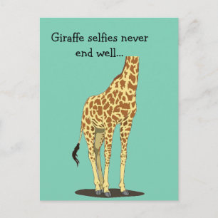 Giraffe selfies never end well... postcard