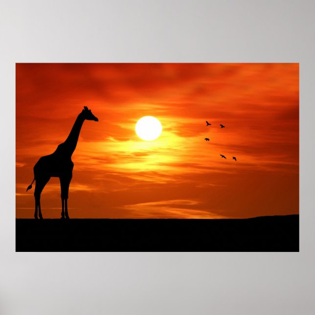 Giraffe Silhouette at Sunset Poster (Front)