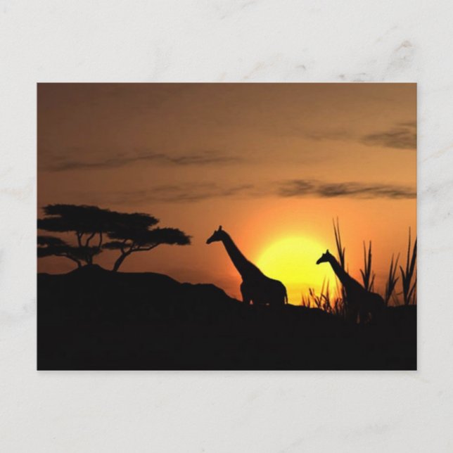Giraffe Silhouette - Blank for your own message Postcard (Front)