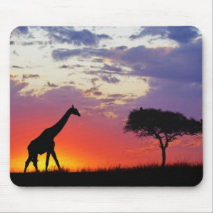 Giraffe silhouetted at sunrise, Giraffa Mouse Pad