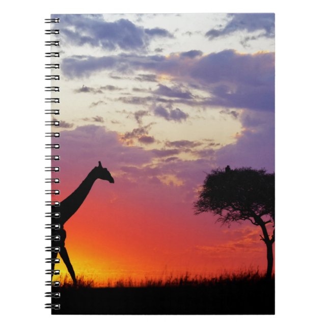 Giraffe silhouetted at sunrise, Giraffa Notebook (Front)
