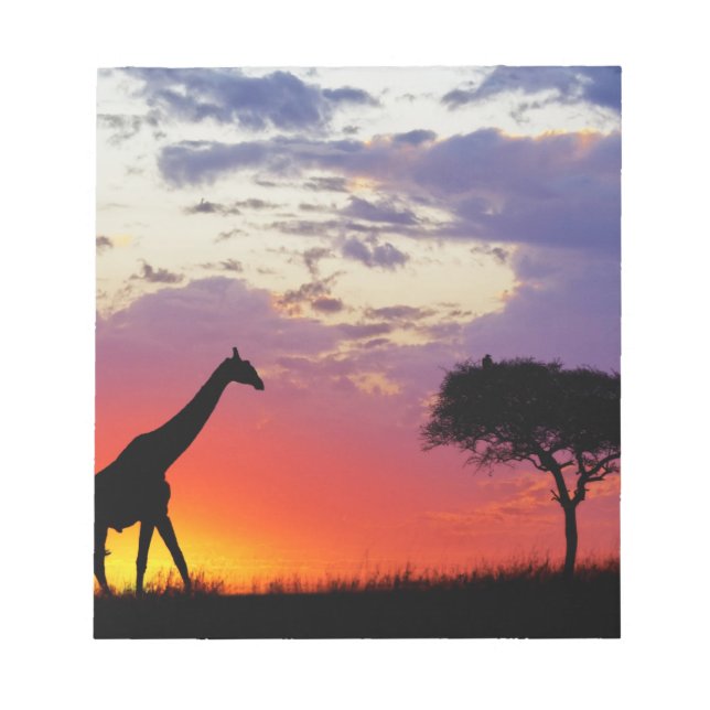 Giraffe silhouetted at sunrise, Giraffa Notepad (Front)