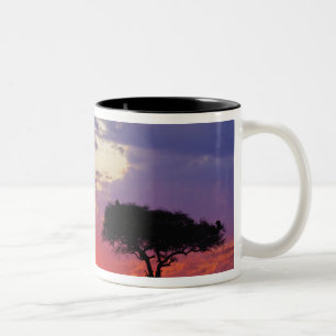 Giraffe silhouetted at sunrise, Giraffa Two-Tone Coffee Mug