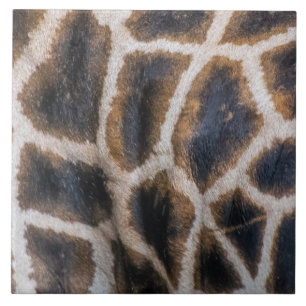 Giraffe skin pattern ceramic tile