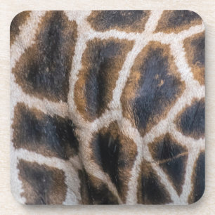 Giraffe skin pattern coasters