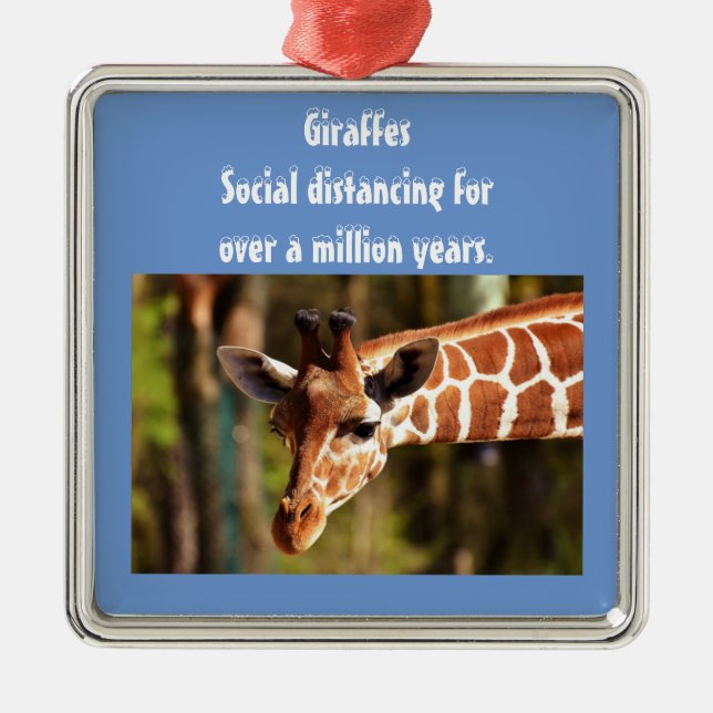 Giraffe Social Distancing Six Feet by Funnycomb Metal Ornament (Front)