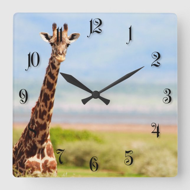 giraffe square wall clock (Front)