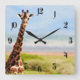 Giraffe Square Wall Clock