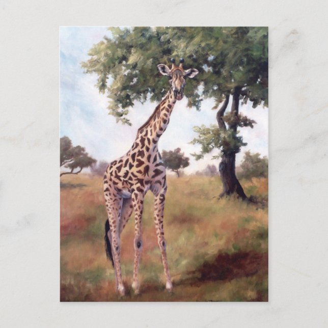 Giraffe Standing Tall Postcard (Front)