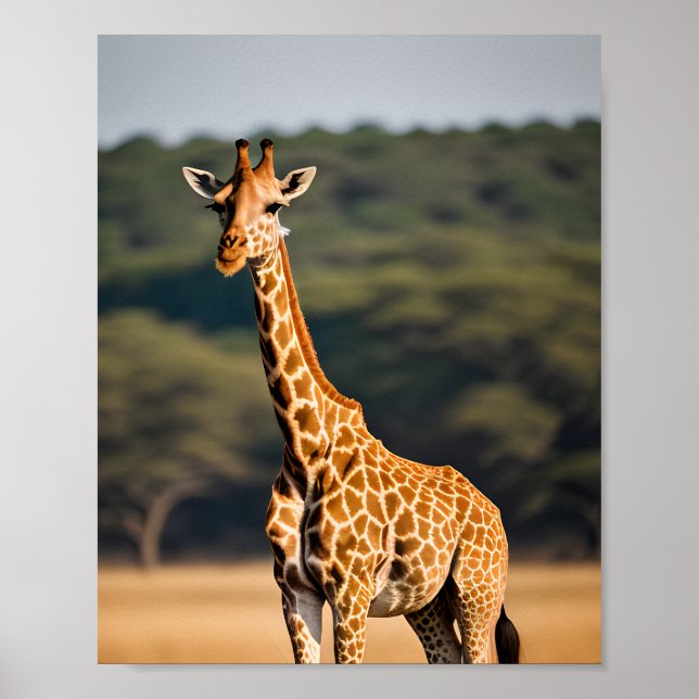 Giraffe Standing Tall Poster (Front)