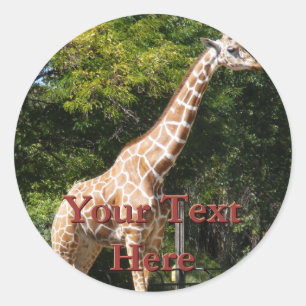 Giraffe Stickers