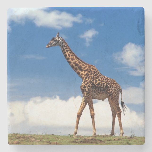 Giraffe Stone Coaster (Front)