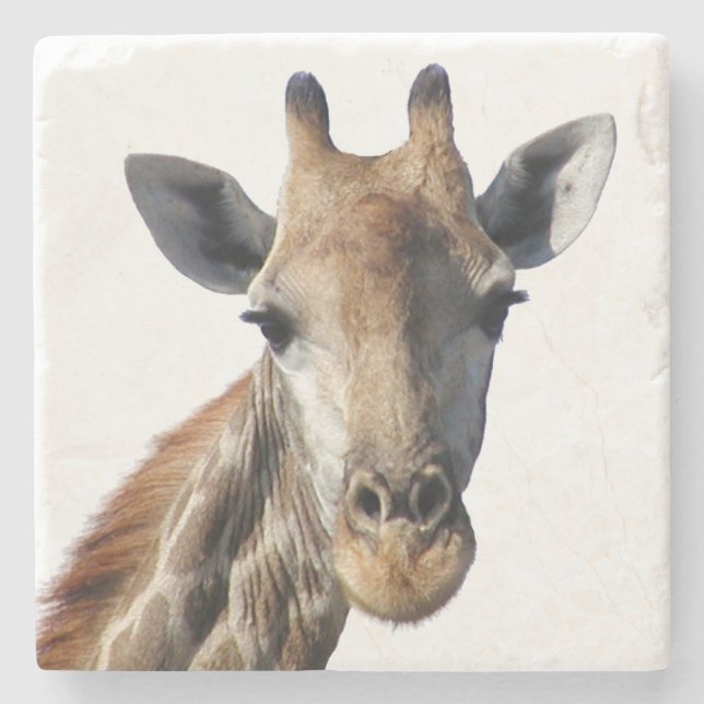 Giraffe Stone Coaster (Front)