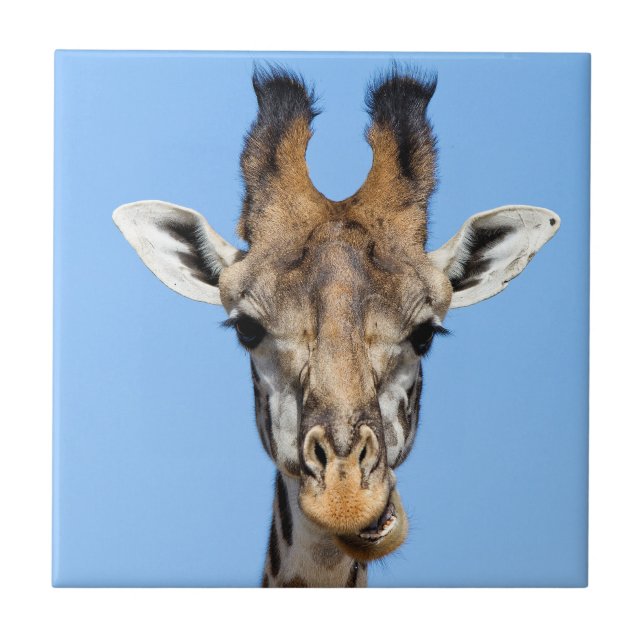 Giraffe Tile (Front)