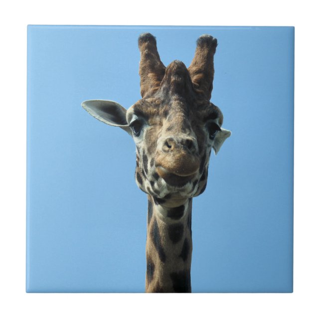 GIRAFFE TILE (Front)
