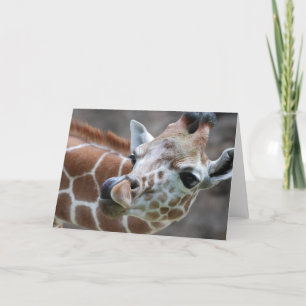 Giraffe Tongue Greeting Card