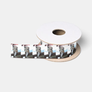 Giraffe-Tongue-Santa Satin Ribbon