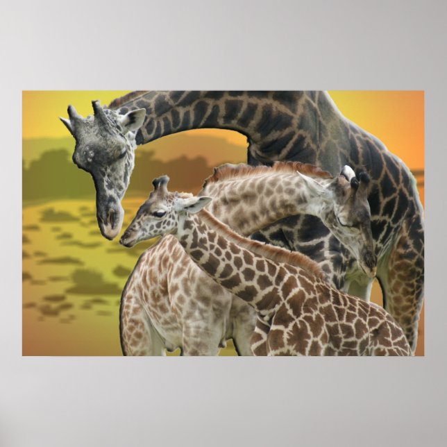 GIRAFFE TWISTER  LOVE TRIANGLE FRAMED PRINT (Front)