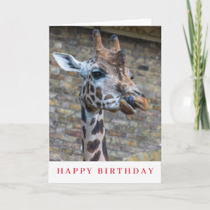 Giraffe up close birthday card