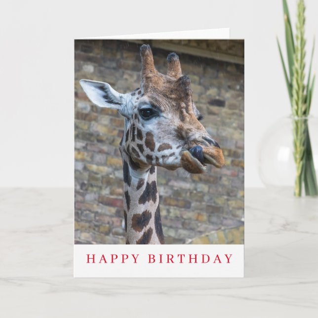 Giraffe up close birthday card (Front)