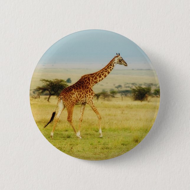 Giraffe walking Masai Mara Plains, Kenya button (Front)