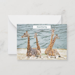 Giraffe Water Fun Photo -  Four Giraffe's Party Card
