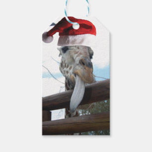 Giraffe wearing a Santa claus Hat for Christmas Gift Tags