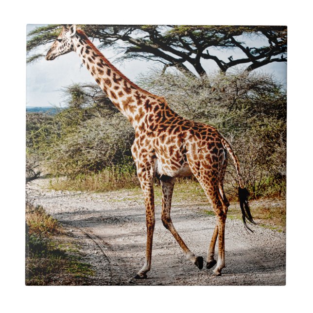 Giraffe Wild Animal Africa pattern print Tile (Front)