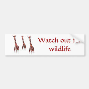 Giraffe Wildlife Art with Conservation Message Bumper Sticker