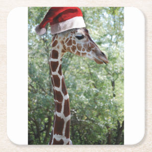 Giraffe with a Santa Claus Hat on Square Paper Coaster