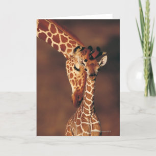 Giraffe with Calf   Giraffa camelopardalis Card