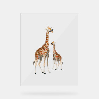 Giraffe with Sunglasses Jungle Safari Animal Giraf Acrylic Sign