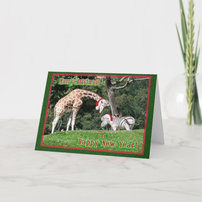 Giraffe Zebra Christmas Holiday Card (Front)